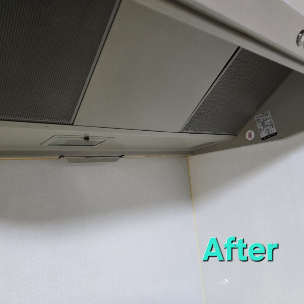 レンジフードクリーニング