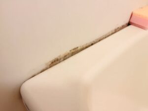 気になる汚れがある