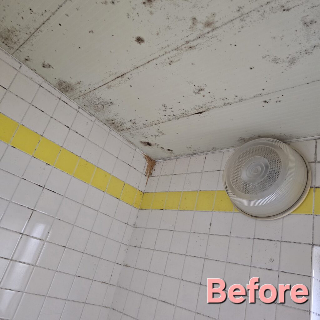 常滑市浴室クリーニング
愛知県浴室クリーニング