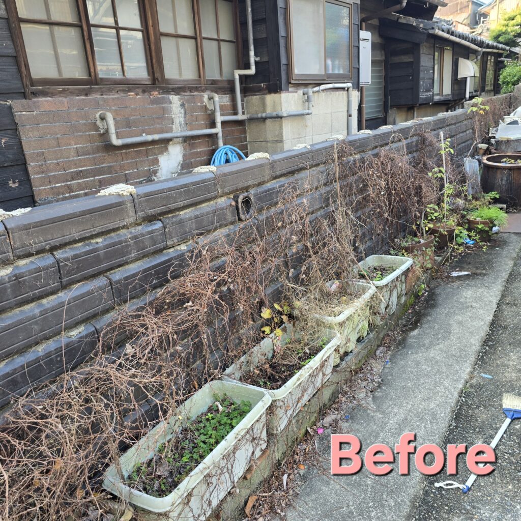 常滑市の草むしり